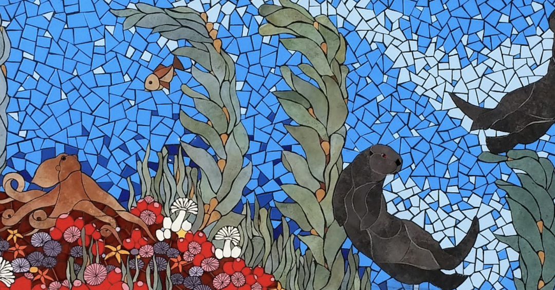 What are you doing for Sea Otter Awareness Week?