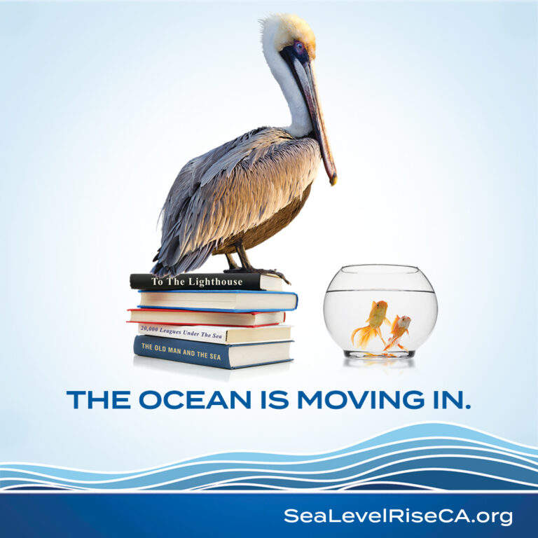 Join the California Sea Level Rise Awareness Campaign