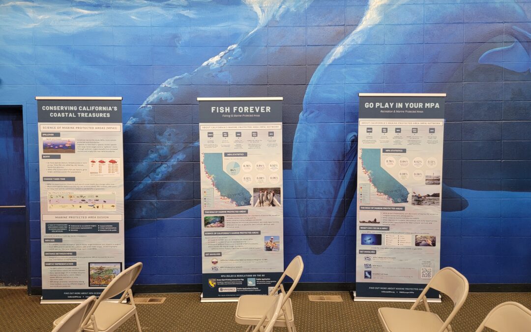 Free MPA exhibits available for your use