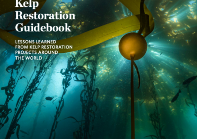 Global Kelp Restoration Guidebook