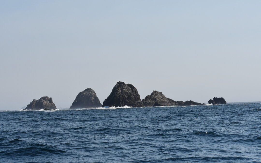San Francisco District Attorney Boudin Announces Civil Prosecution Against Commercial Fisherman for Fishing in the North Farallon Islands State Marine Reserve