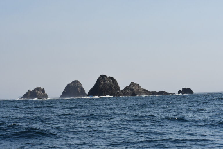 San Francisco District Attorney Boudin Announces Civil Prosecution Against Commercial Fisherman for Fishing in the North Farallon Islands State Marine Reserve