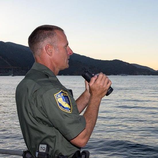 report-poaching
