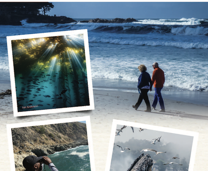 Explore Monterey Bay and Beyond Brochure and Supporting Webpage