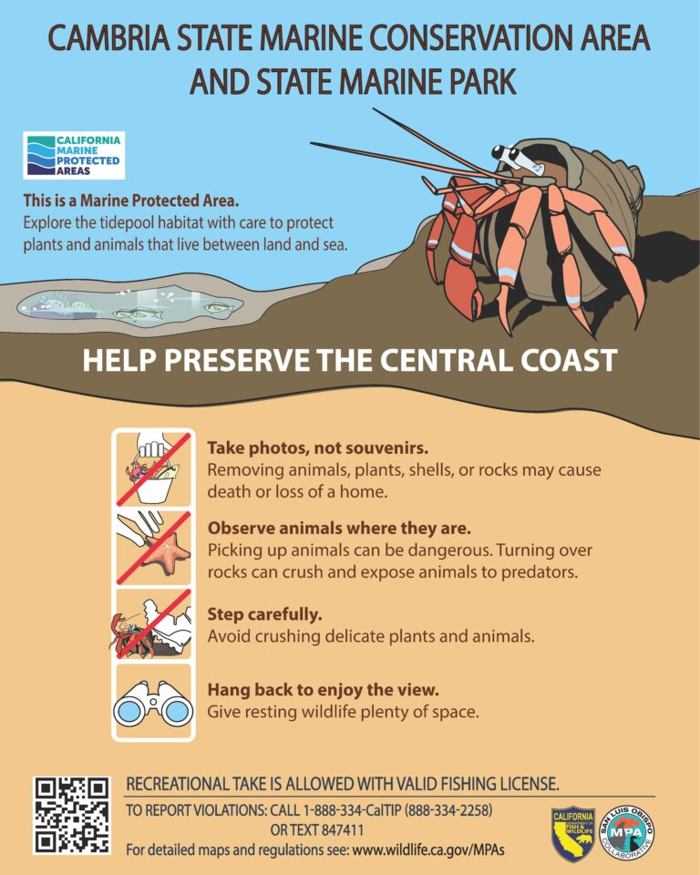 Good Tidepooler Rules Sign – Cambria SMCA/SMP