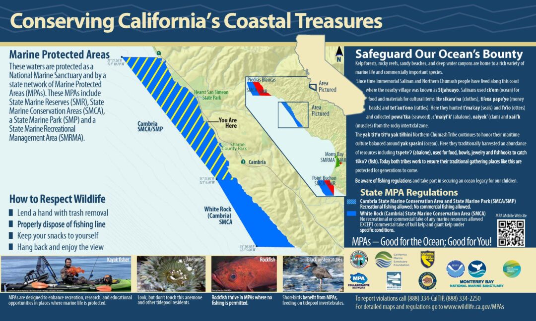 Leffingwell MPA Interpretive Sign