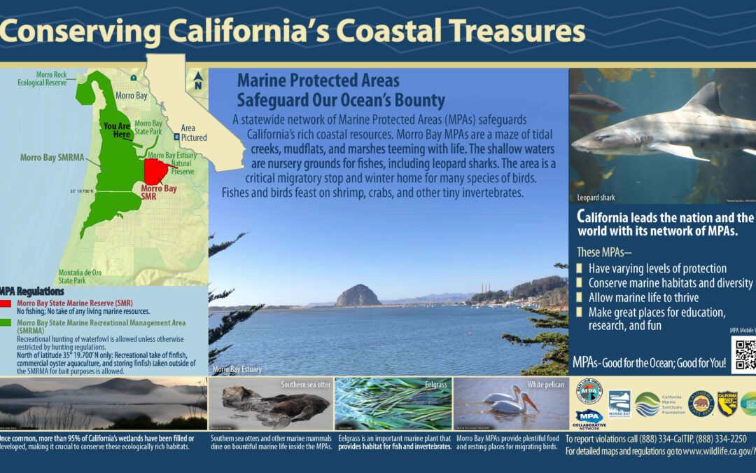 Morro Bay MPA Interpretive Sign