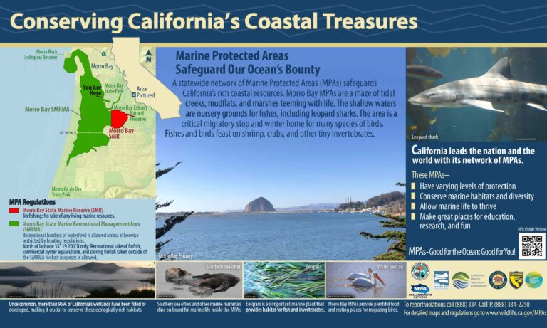 Morro Bay MPA Interpretive Sign