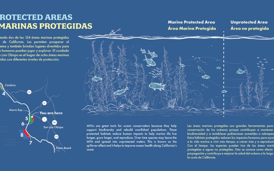 MPA Exhibit Panels for Morro Bay Museum of Natural History