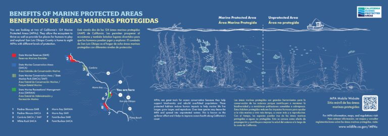 MPA Exhibit Panels for Morro Bay Museum of Natural History