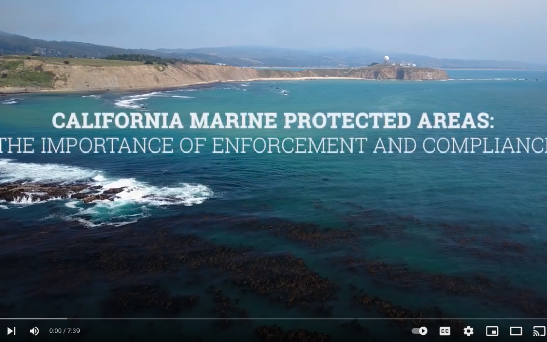 California’s Marine Protected Areas (MPAs): The Importance of Enforcement and Compliance