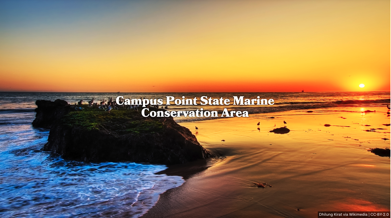 A photographic tour of California’s marine protected areas