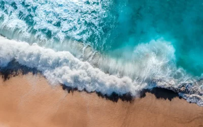 Central Coast State Parks Association (CCSPA) Community Outreach Coordinator