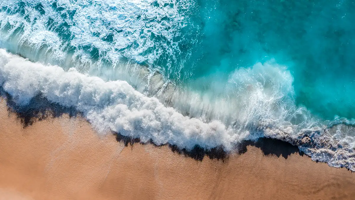 Central Coast State Parks Association (CCSPA) Community Outreach Coordinator