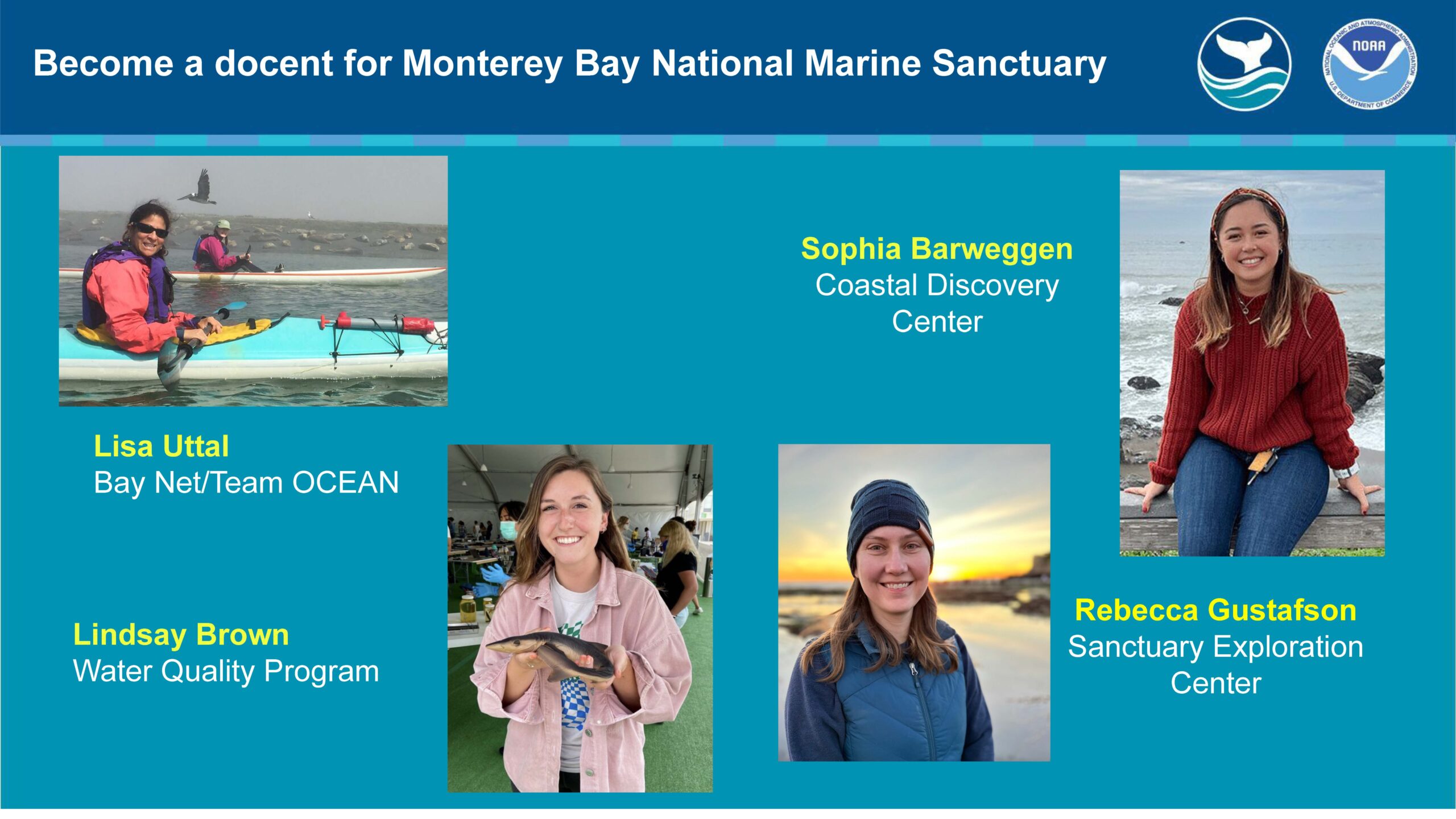 Monterey Bay National Marine Sanctuary Volunteer Program Informational Session (Virtual)