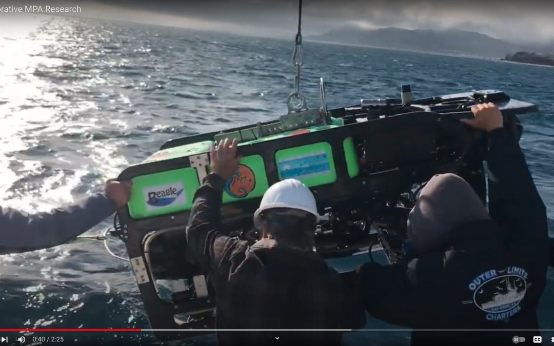 Dive in with Marine Applied Research and Exploration (MARE) to explore and document the seafloor