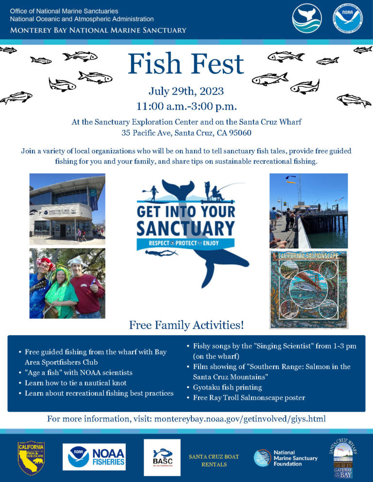 Fish Fest – Get Into Your Sanctuary