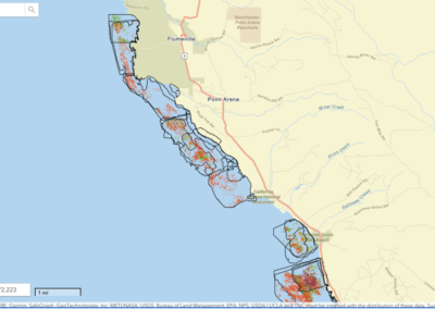 North Coast Kelp Canopy Drone Data Available on BIOS