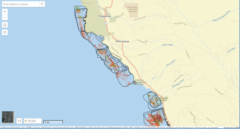 North Coast Kelp Canopy Drone Data Available on BIOS