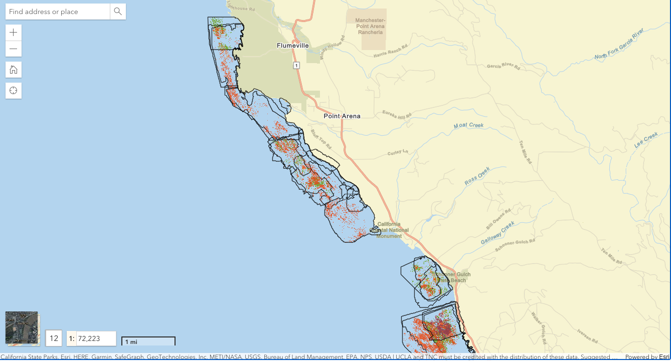 North Coast Kelp Canopy Drone Data Available on BIOS