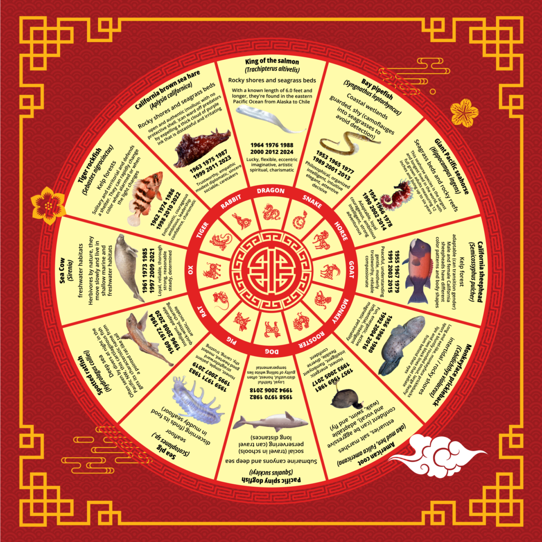 Lunar New Year (Ocean Themed)