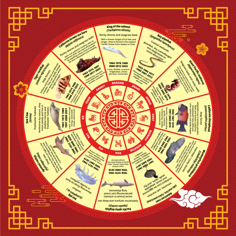 Lunar New Year, Zodiac Wheel of Sea Critters, and our AAPI Community Affinity Group