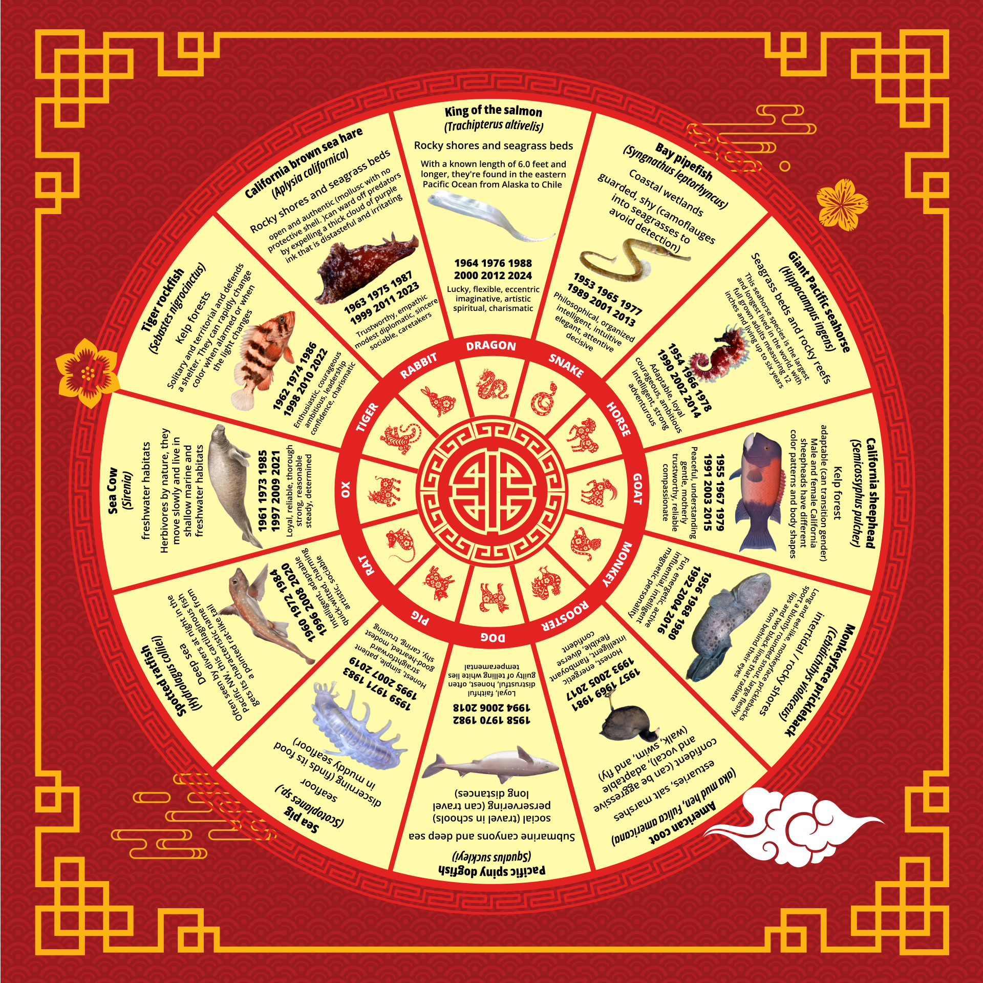 Lunar New Year, Zodiac Wheel of Sea Critters, and our AAPI Community Affinity Group