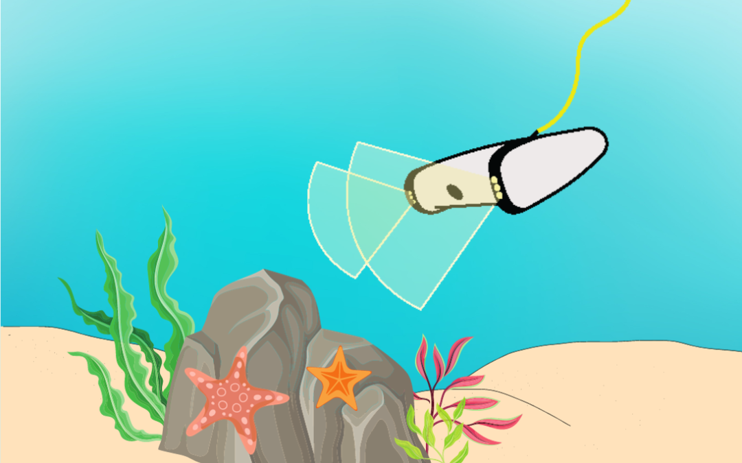 Explore Beyond the Shore! ROV community science project launches through Zooniverse & Thriving Earth Exchange