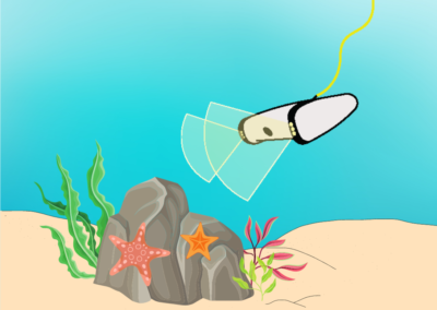 Explore Beyond the Shore! ROV community science project launches through Zooniverse & Thriving Earth Exchange