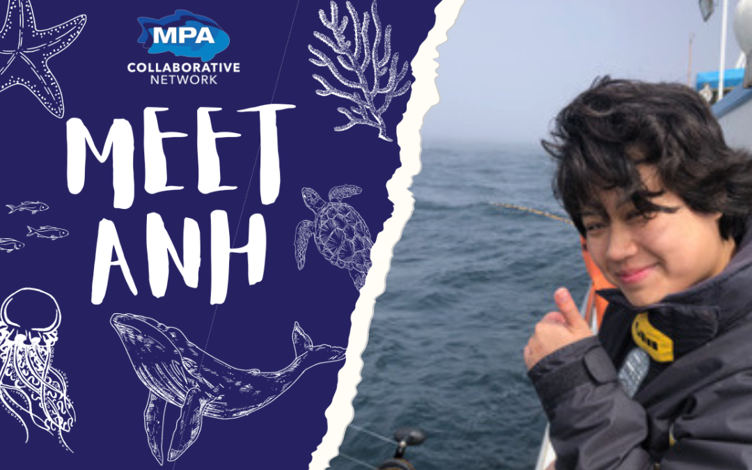 Celebrating AAPI Heritage Month with Anh Diep