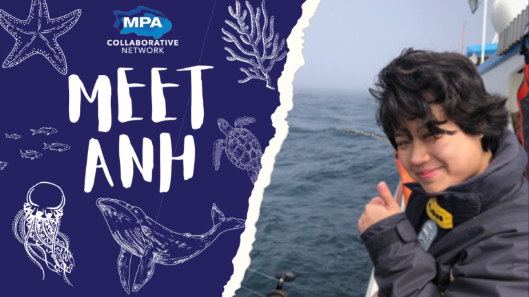 Celebrating AAPI Heritage Month with Anh Diep