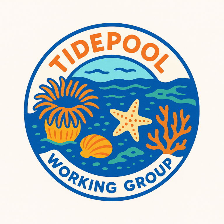 Tidepool Working Group Meeting Summer