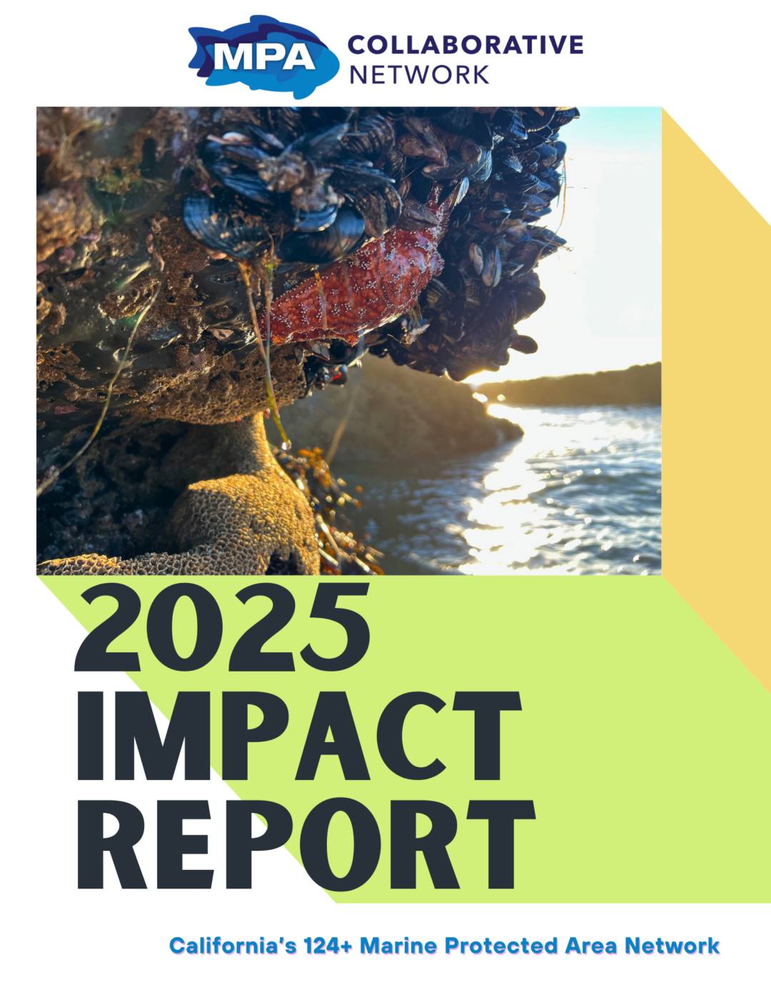 2025 Impact Report: MPA Collaborative Network
