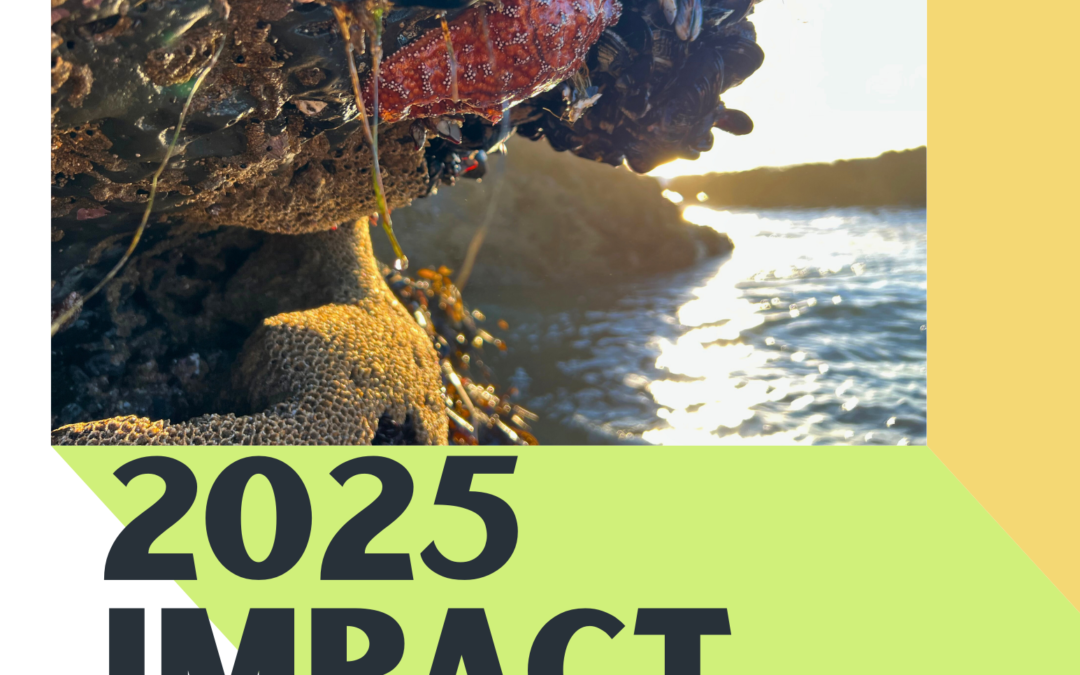 2025 Impact Report: MPA Collaborative Network