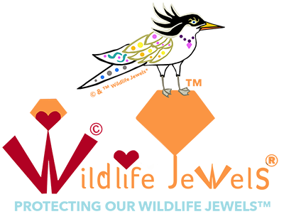 Wildlife Jewels hosts World Wildlife Day Newport Beach