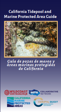 Statewide Tidepool Pocket Guide (English/Spanish)