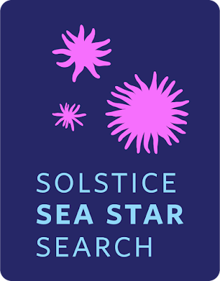 Solstice Sea Star Search Pillar Point Tidepools Bioblitz