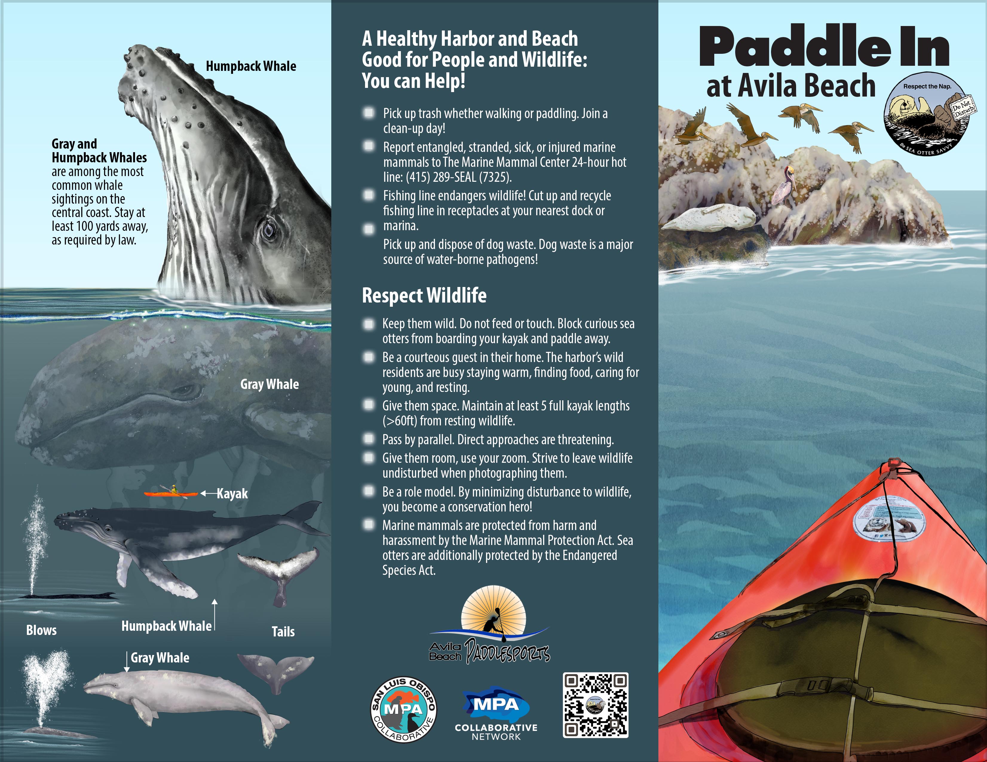 Paddle In At Avila Beach Brochure
