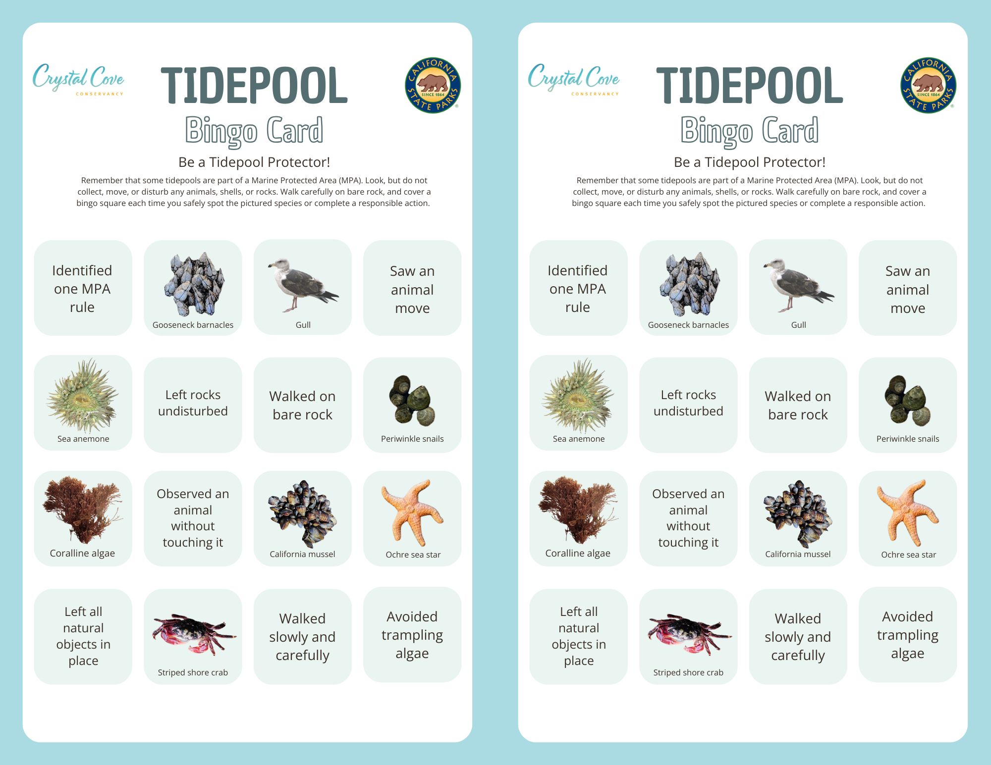 Crystal Cove Conservancy Tidepool Games