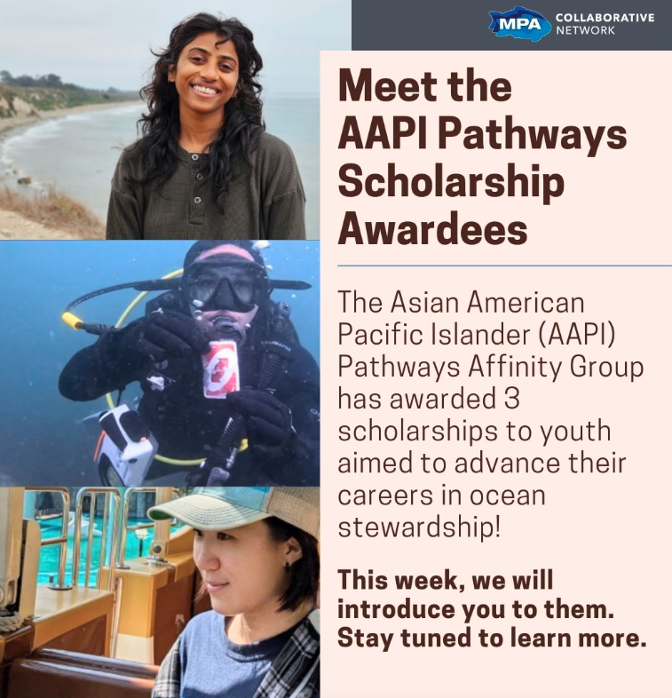 AAPI Scholarship Program Round 1