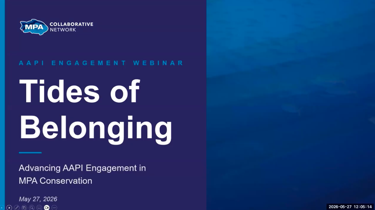 Tides of Belonging Webinar