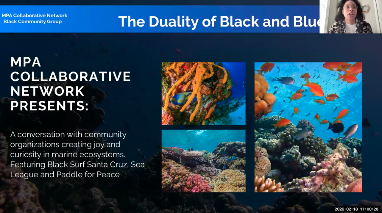 The Duality of Black and Blue